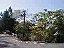 P1010264.JPG